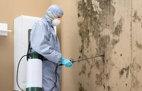 Best Mold Remediation for Healthcare Facilities  in Milroy, PA